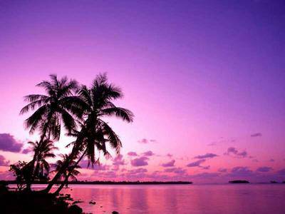 paysage